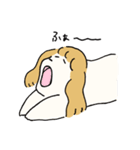 いか犬（個別スタンプ：16）