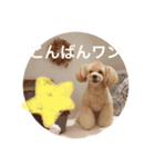 愛犬♡チワプーのSugar（個別スタンプ：2）