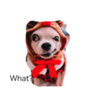 My name is Wan Wan.（個別スタンプ：4）