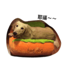 dachshund_butter（個別スタンプ：4）