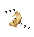 dachshund_butter（個別スタンプ：11）