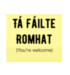 Cupla focal Gaeilge/A few words of Irish（個別スタンプ：10）