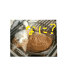 庭の、ちびにゃんこたち（個別スタンプ：28）