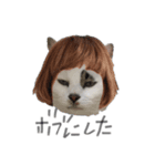 ボブとレン（個別スタンプ：3）