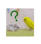 超かわいいジャンガリアンハムスター（個別スタンプ：18）