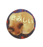 たにもと家（個別スタンプ：7）