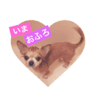 たにもと家（個別スタンプ：14）