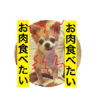 たにもと家（個別スタンプ：19）