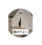 世界の武田（個別スタンプ：6）