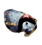 bird tachi（個別スタンプ：2）