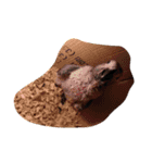 bird tachi（個別スタンプ：15）