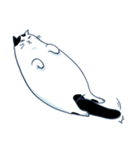 Bintik The Cat（個別スタンプ：1）