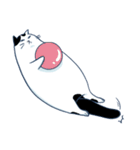 Bintik The Cat（個別スタンプ：2）