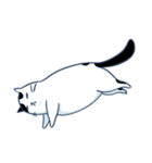 Bintik The Cat（個別スタンプ：7）