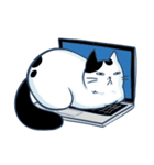 Bintik The Cat（個別スタンプ：13）