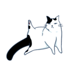 Bintik The Cat（個別スタンプ：14）