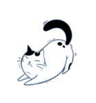 Bintik The Cat（個別スタンプ：16）