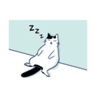 Bintik The Cat（個別スタンプ：17）