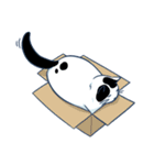 Bintik The Cat（個別スタンプ：18）