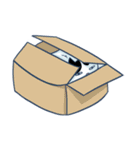 Bintik The Cat（個別スタンプ：19）