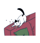 Bintik The Cat（個別スタンプ：20）