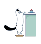 Bintik The Cat（個別スタンプ：29）