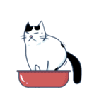Bintik The Cat（個別スタンプ：30）
