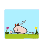 ねこたまご先生によるねこたまご（個別スタンプ：25）