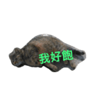 Adorkable Cat Daily（個別スタンプ：4）
