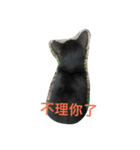Adorkable Cat Daily（個別スタンプ：5）