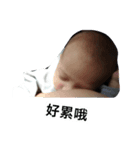 Small grapefruit expression pattern（個別スタンプ：1）