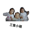 Small grapefruit expression pattern（個別スタンプ：2）