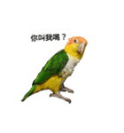 The story of two dogs and bird（個別スタンプ：5）