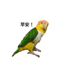 The story of two dogs and bird（個別スタンプ：10）