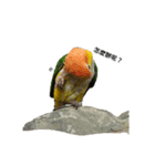 The story of two dogs and bird（個別スタンプ：14）