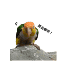 The story of two dogs and bird（個別スタンプ：18）