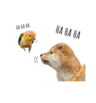 The story of two dogs and bird（個別スタンプ：19）