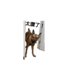The story of two dogs and bird（個別スタンプ：32）