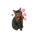 BaBoBo（個別スタンプ：1）