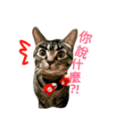 BaBoBo（個別スタンプ：2）