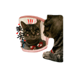 BaBoBo（個別スタンプ：8）