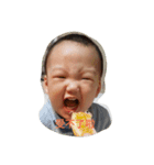 Minimonkey（個別スタンプ：8）