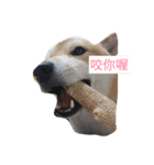 Pocky cute（個別スタンプ：3）