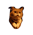 thecats（個別スタンプ：3）