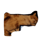 thecats（個別スタンプ：8）