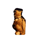 thecats（個別スタンプ：10）