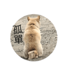 lookkikiket（個別スタンプ：1）