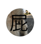 lookkikiket（個別スタンプ：6）