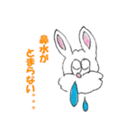 かしゃウサギ（個別スタンプ：19）