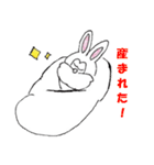 かしゃウサギ（個別スタンプ：40）